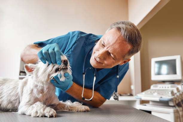 Best Weekend Emergency Dentist in Los Banos, CA